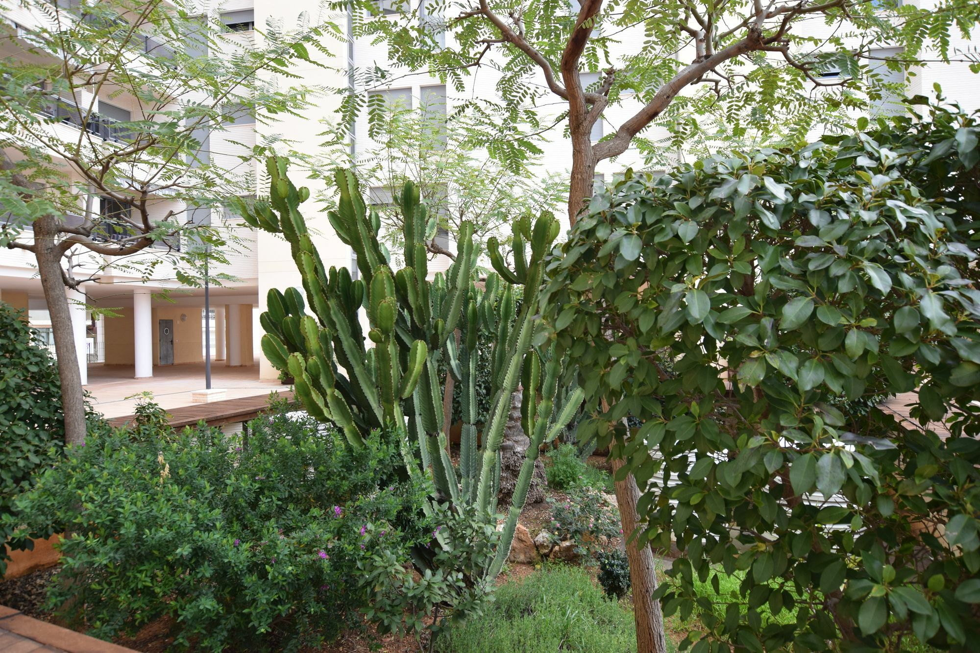 Plaza Mayor 2 Bedroom Apartment カルプ エクステリア 写真